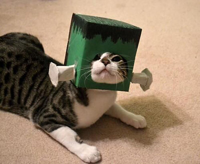 frankencat-l1.jpg