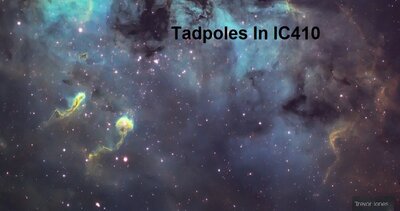 Tadpoles-of-IC-410-Trevor-Jones.jpg