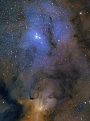 ic4604.jpg