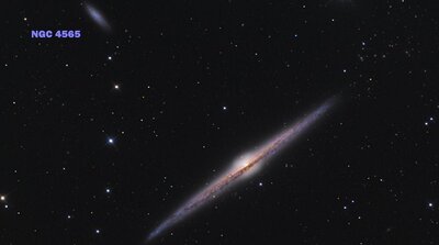 NGC4565crawford900.jpg