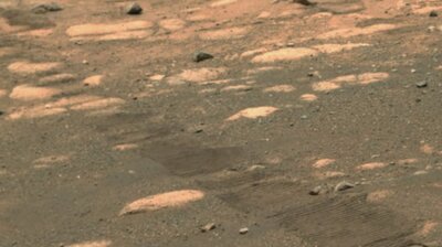 Wind Exposed Pinkish Rock on Mars