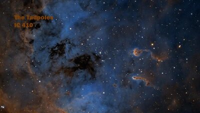 IC410-SHO_pughCrop900.jpg