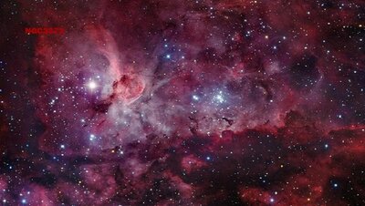 NGC3372_gendlerhannahoe900.jpg