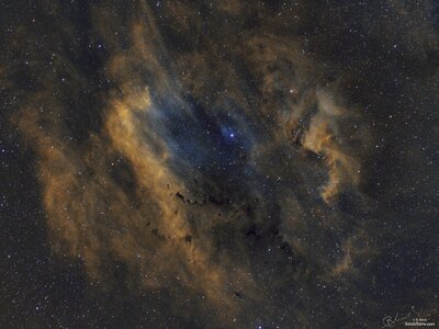 HSHO with RGB Stars Sign (32x24) (1600 x 1200).jpg