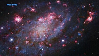 NGC2403-Subaru-HST-S900.jpg