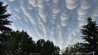 Mammatus_Johnston_960.jpg