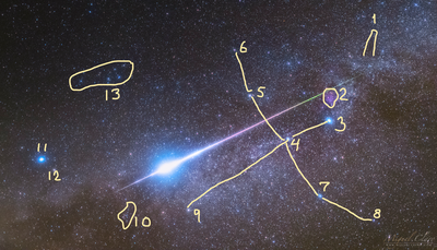 Cygnus with meteor annotated Miguel Claro.png