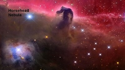 Horsehead_Colombari_960.jpg