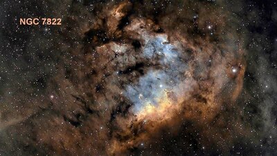 NGC7822gonzalez1024c.jpg