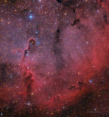 Elephants Trunk Nebula with stars Robert Eder.png