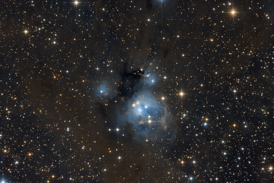 NGC7129.png