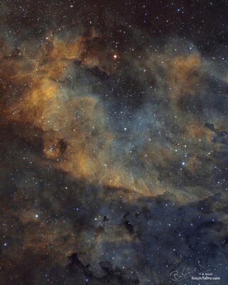 Shapes in Cygnus 2021 (8x10).jpg