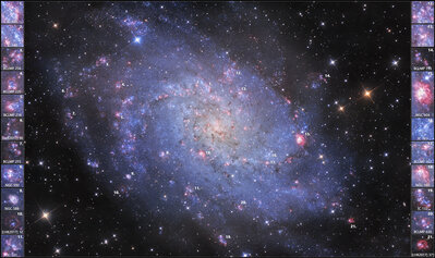Nebulae of the Triangulum galaxy M33.jpg