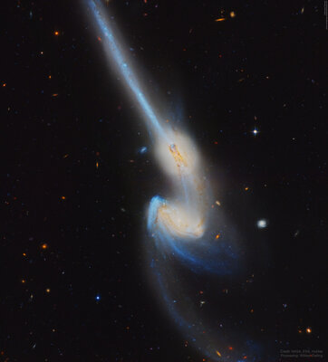 NGC4676_HubbleOstling_4555[1].jpg