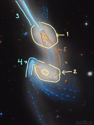NGC 4676 annotated NASA ESA Hubble William Ostling.png