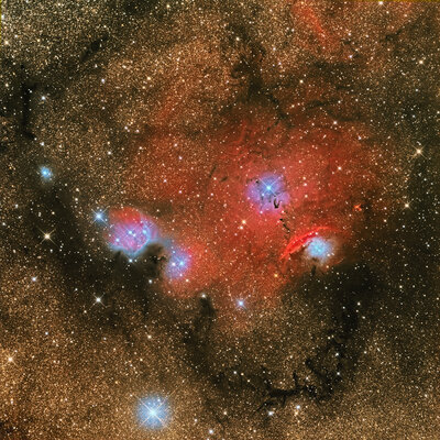 NGC6559Sartori1024[1].jpg