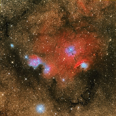 NGC6559Sartori.jpg