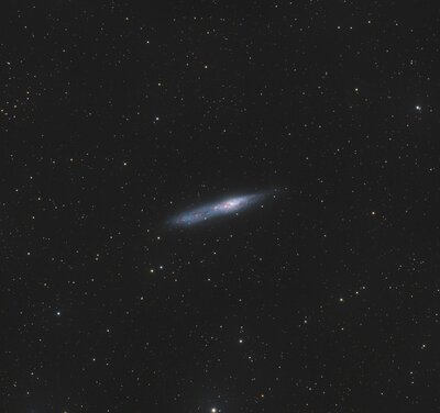 ngc55.jpg