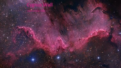 CygnusWallWalker600.jpg
