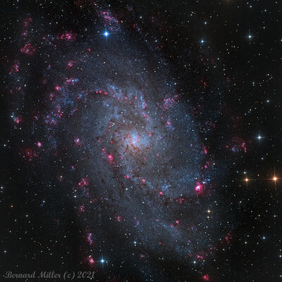 M33_PS1_CROP_13x13[1].jpg