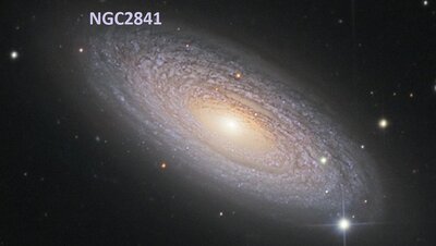 NGC2841cass50_schedler_c800.jpg