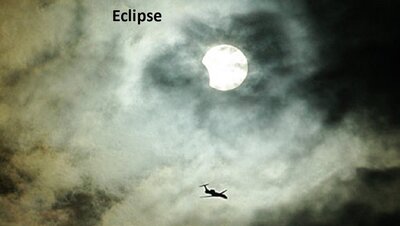 eclipse_verdin.jpg