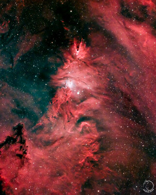 211224 Cone NGC2264 66x300 RTU.jpg