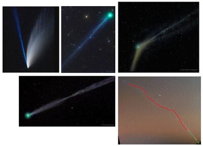 Other comet tails compared with Comet Leonard