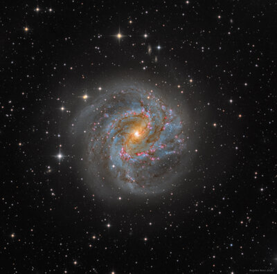 Southern Pinwheel M83 Final.jpg