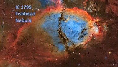 FishheadNebula_Pham_960.jpg