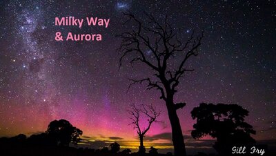 AuroraAustralis_Fry.jpg