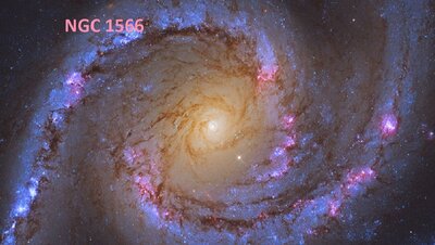 NGC1566_Shatz_960d.jpg