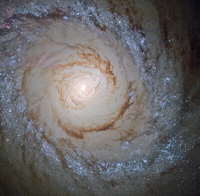 Starburst_galaxy_Messier_94[1].jpg
