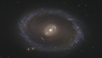 NGC 3081 Hubble Steve Byrne.png