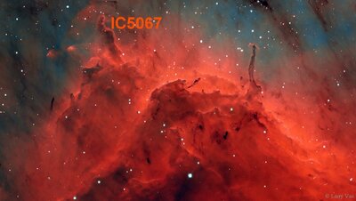 IC5067_vanvleet_960.jpg