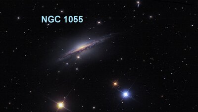 NGC1055_crawford950.jpg
