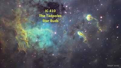 Tadpoles-of-IC-410-Trevor-Jones.jpg
