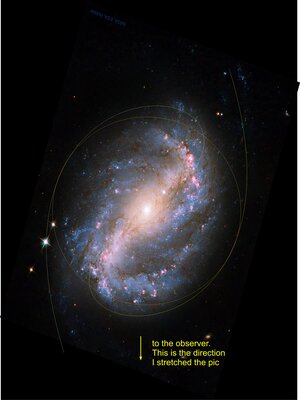 NGC 6217.jpg