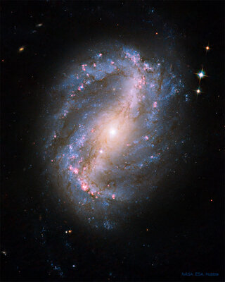 Ngc6217_Hubble_960.jpg