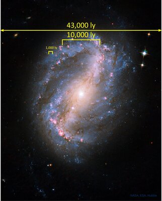 NGC 6217 2.jpg