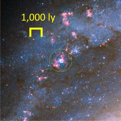 NGC 6217 3.jpg