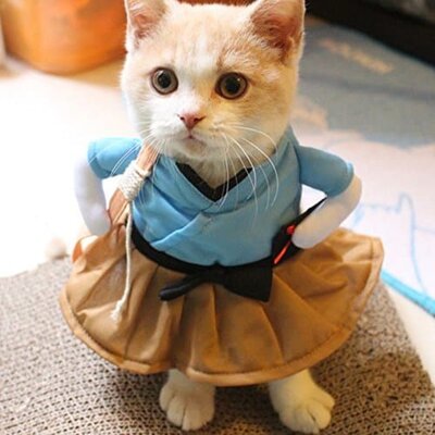 Amyove-Funny-Cat-Dog-Costume-Uniform-Suit-Clothes-Puppy-Dressing-Up-Suit-Party-Cosplay-Clothes-0-1024x1024.jpg