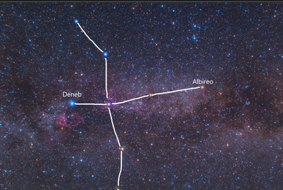 Cygnus constellation wth Albireo and Deneb Tony Hallas.png