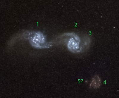 Ensemble of interacting background galaxies &quot;near&quot; M104