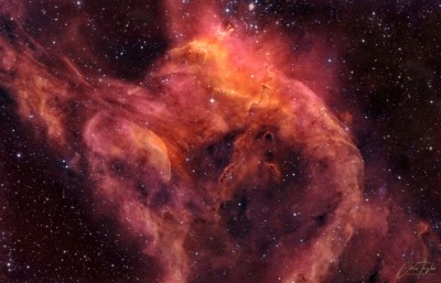 NGC3572SouthernTadpolesCarlosTaylor1024.jpg