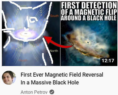 Magnetic Field Reversal Black Hole Cat.png