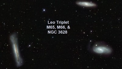 leotriplet_vst_900.jpg