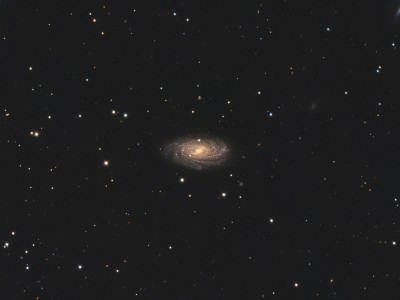 NGC3953.jpg