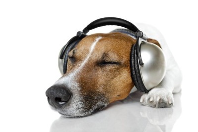 06302017_dog_with_headphones_iStoc.2e16d0ba.fill-735x490.jpg