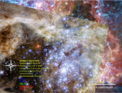 R136 Hubble.jpg